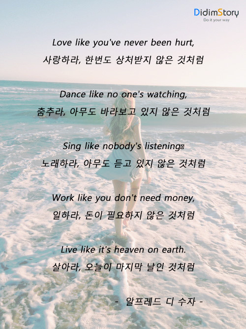 해솔 이미지