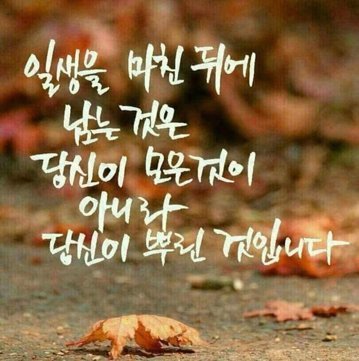 빙그래 이미지