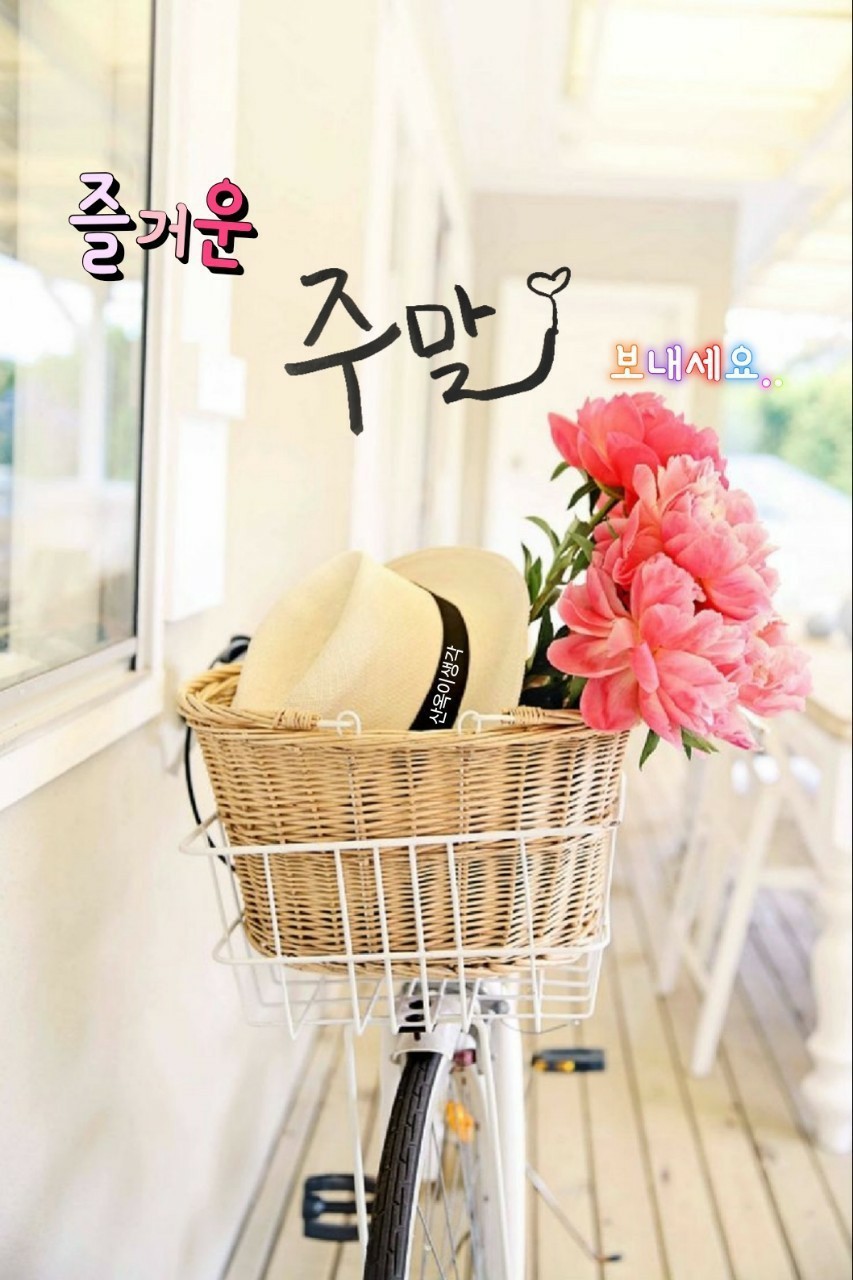 즐거운 주말보내세요 - º━---※ 인사요일안부 - 행복한 장소(장미와소나무)