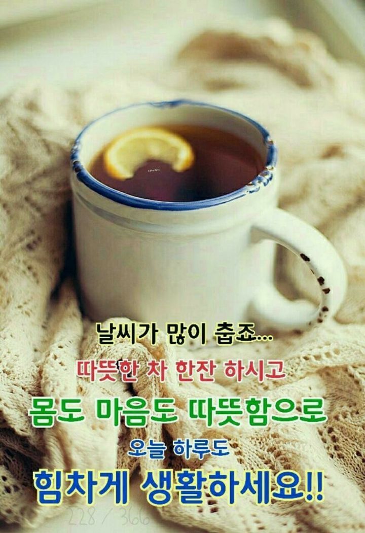 한잔 이미지
