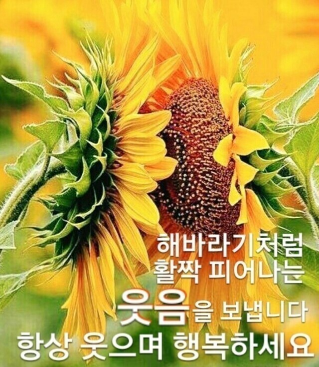 멋진인생 이미지