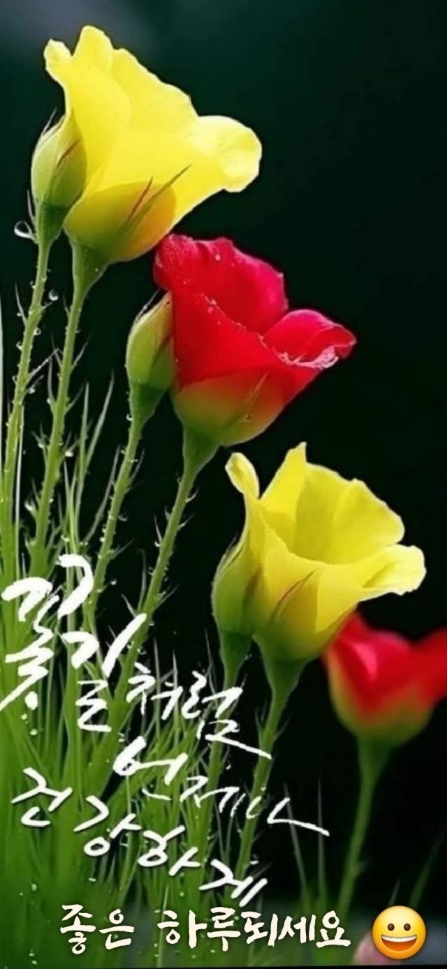 행운 이미지