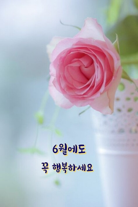 소망 이미지
