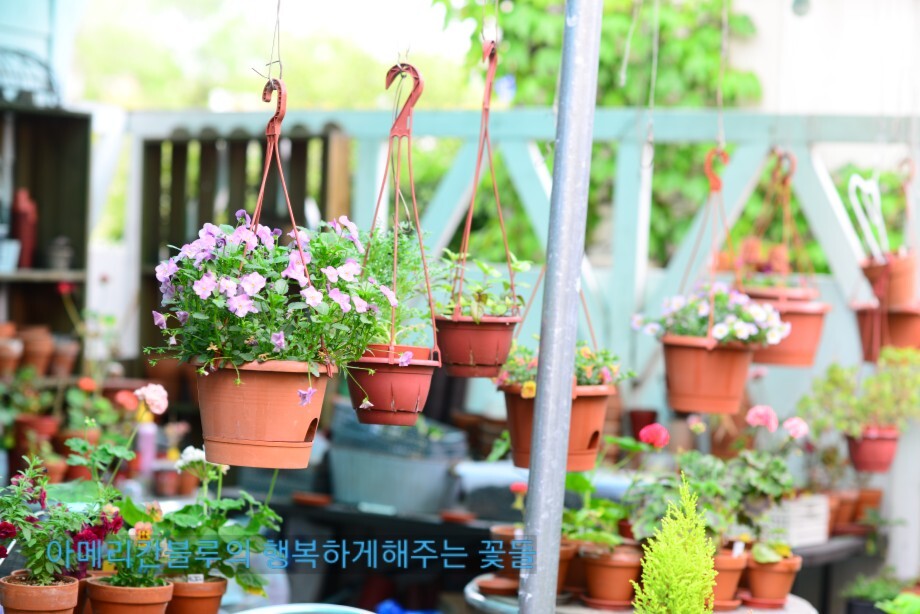 오월의정원 이미지