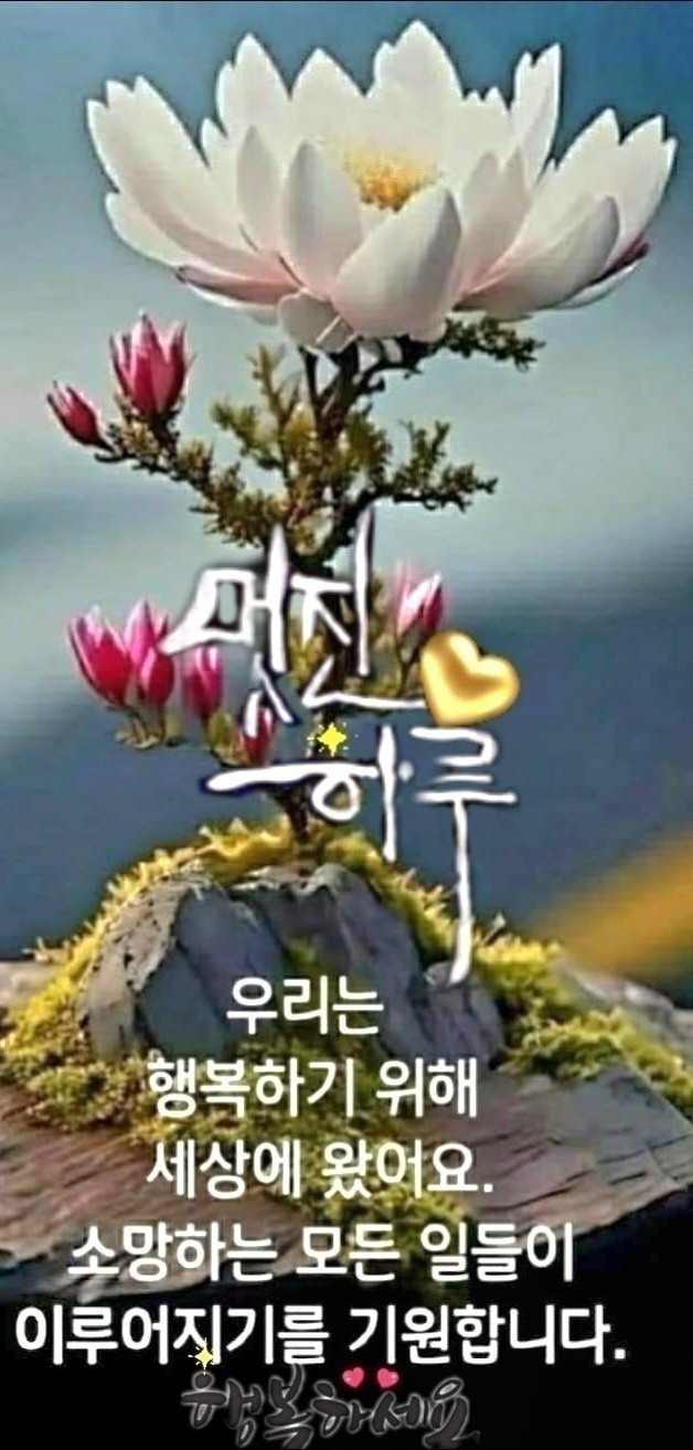 멋진하루 이미지