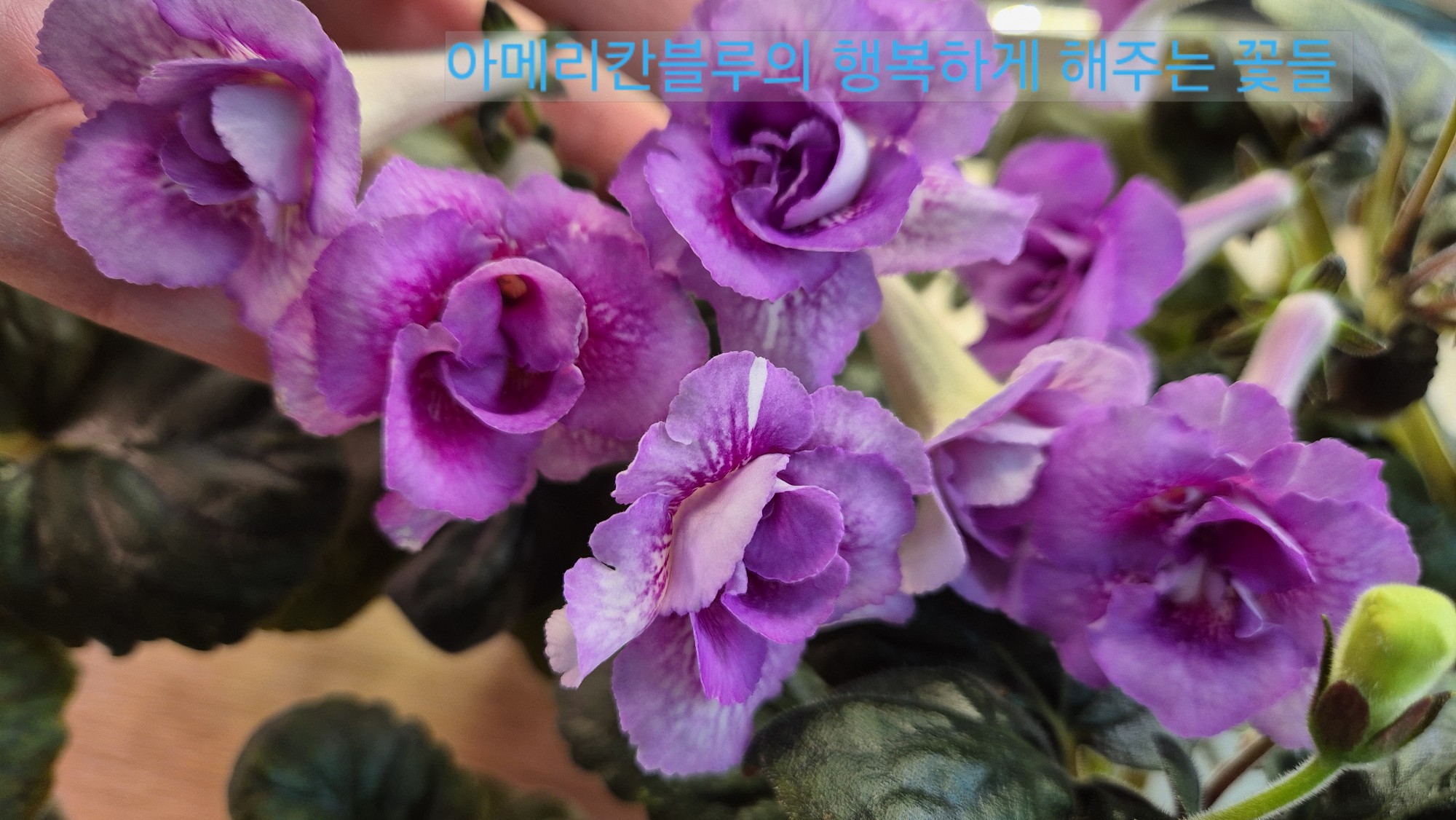 오늘은 이미지