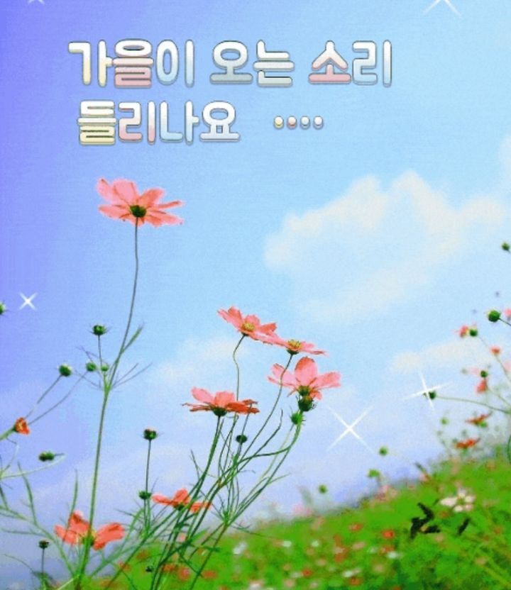 처서 이미지