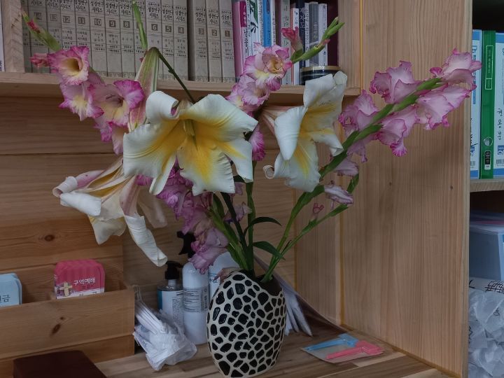 아이스캔디 이미지