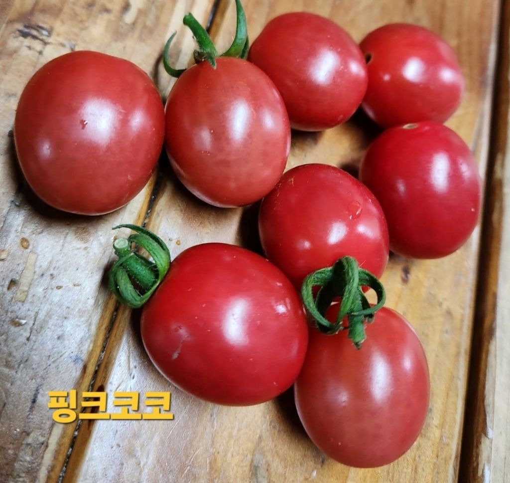코코핑크 이미지