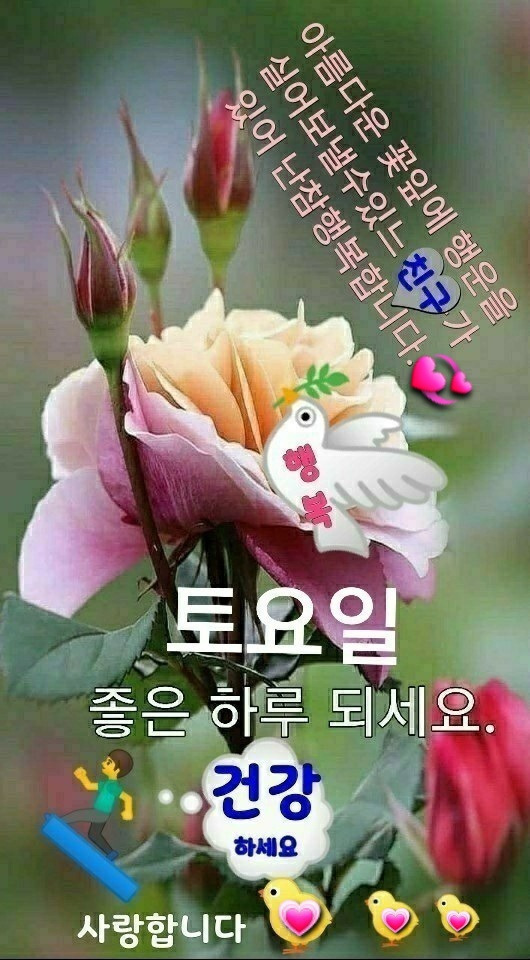 토요일 이미지