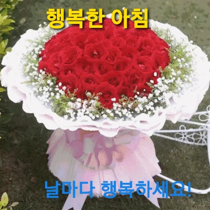 행복한 아침 이미지