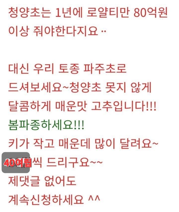 파주초등학교 이미지