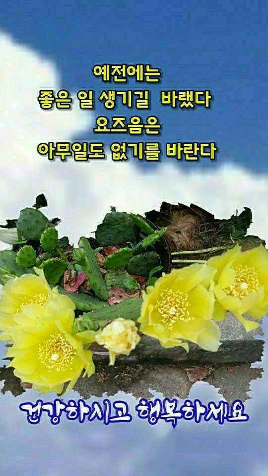 건강한하루 이미지