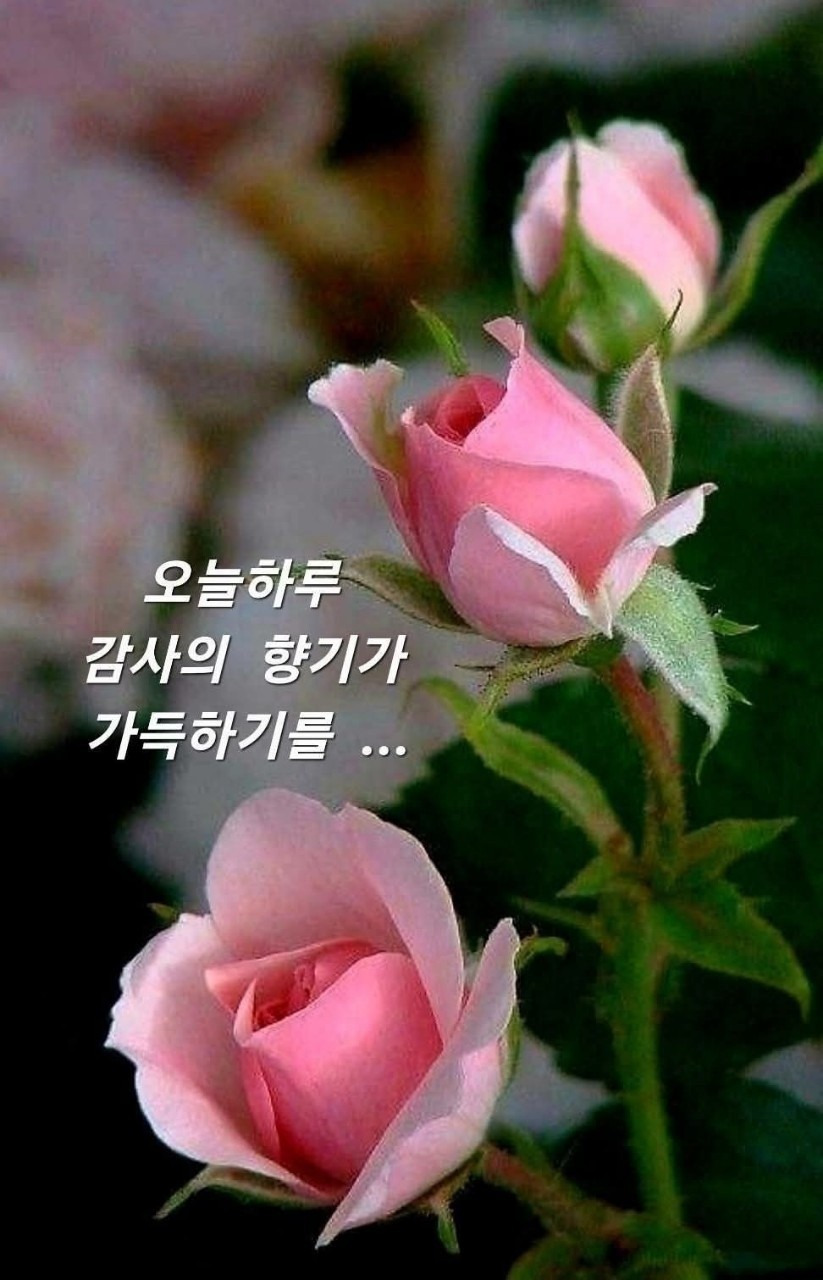 멋진하루 이미지