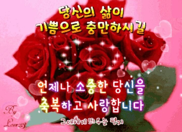 행복나무 이미지
