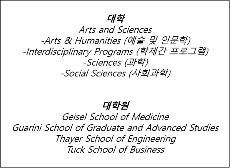 Daum 카페
