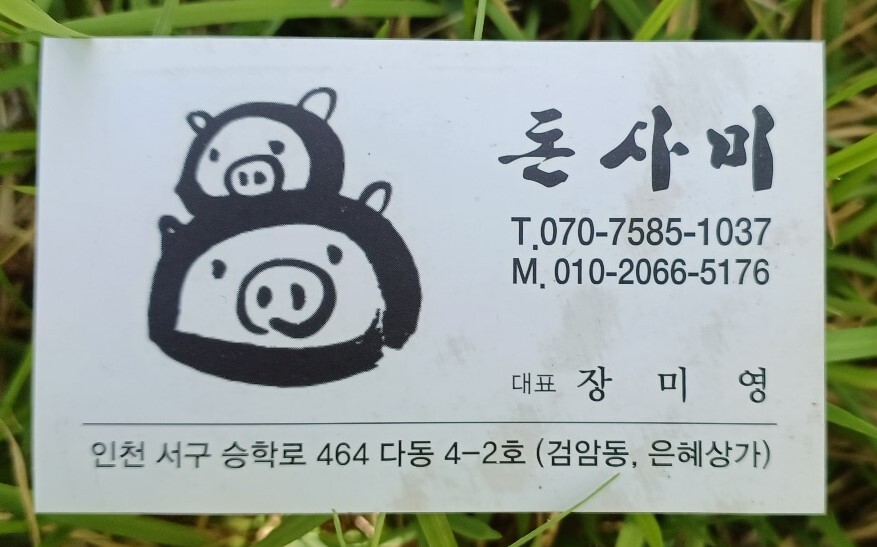 돈사미 이미지