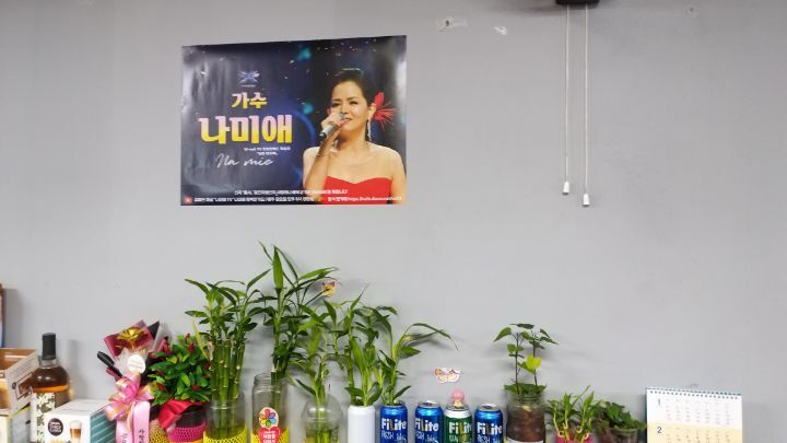 돈사미 이미지