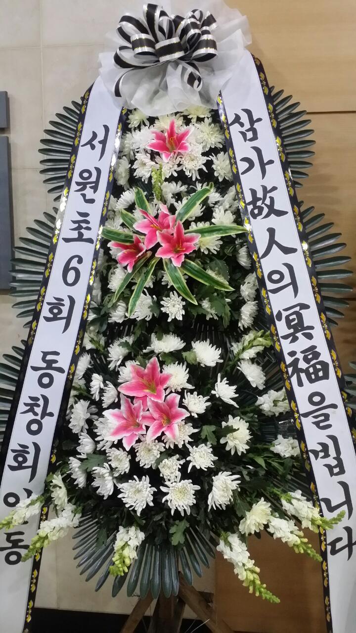 유*종 이미지