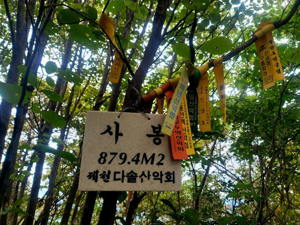 다솔 이미지