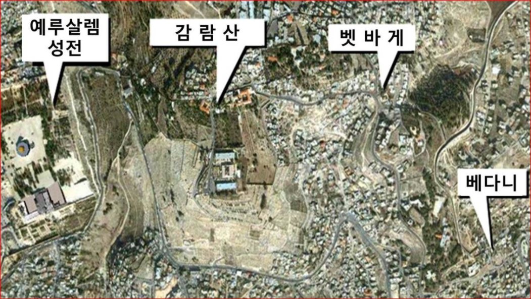 베다니 이미지