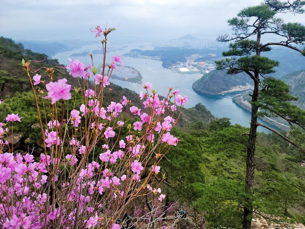 매표소 이미지