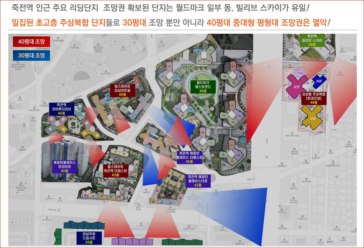 라디체 이미지