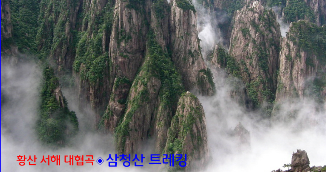 충일투어 이미지