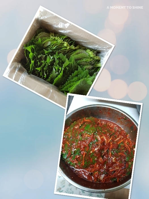 냉이와깻잎 이미지