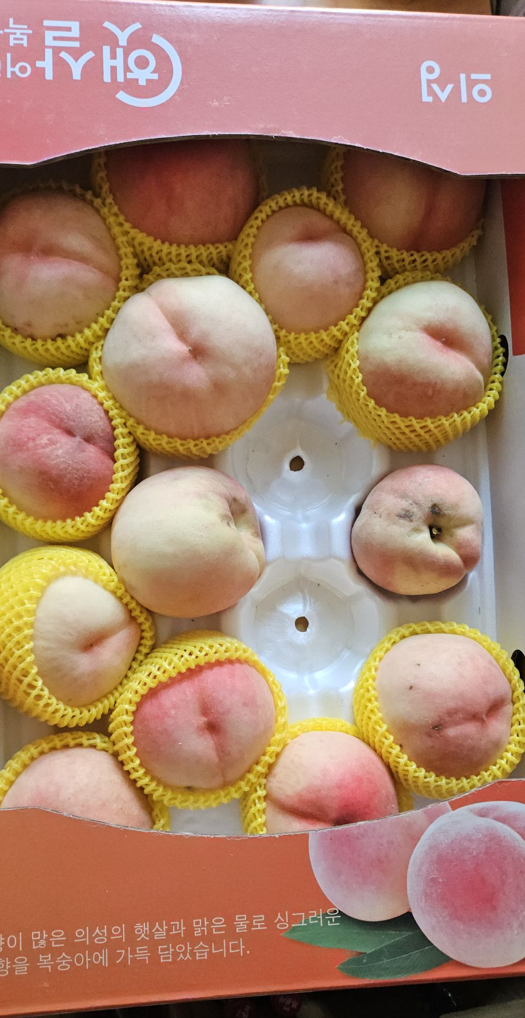 반디농원 이미지