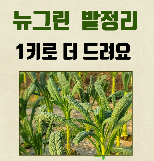 뉴그린 이미지