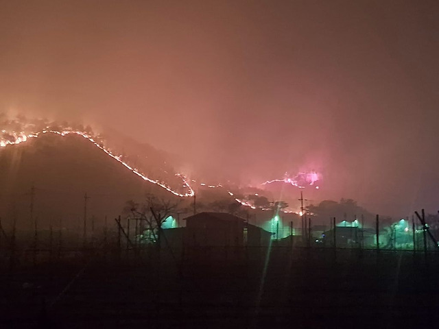 반디농원 이미지