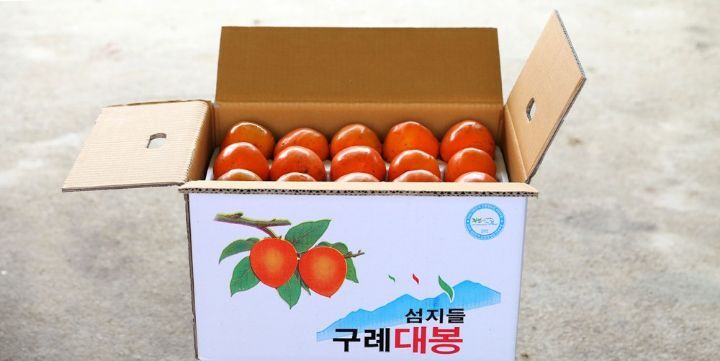 대봉인력 이미지