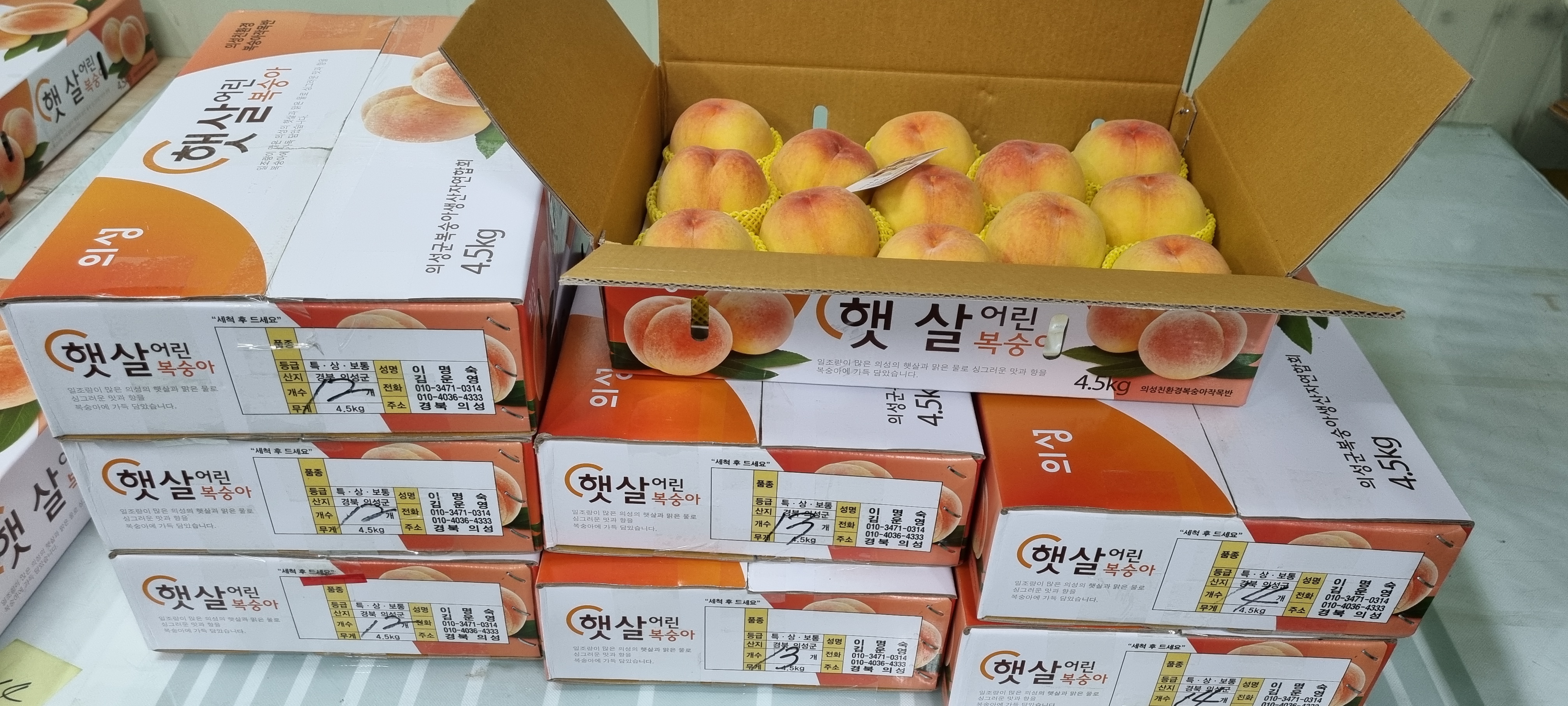 반디농원 이미지