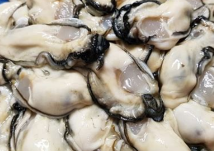 석화 이미지