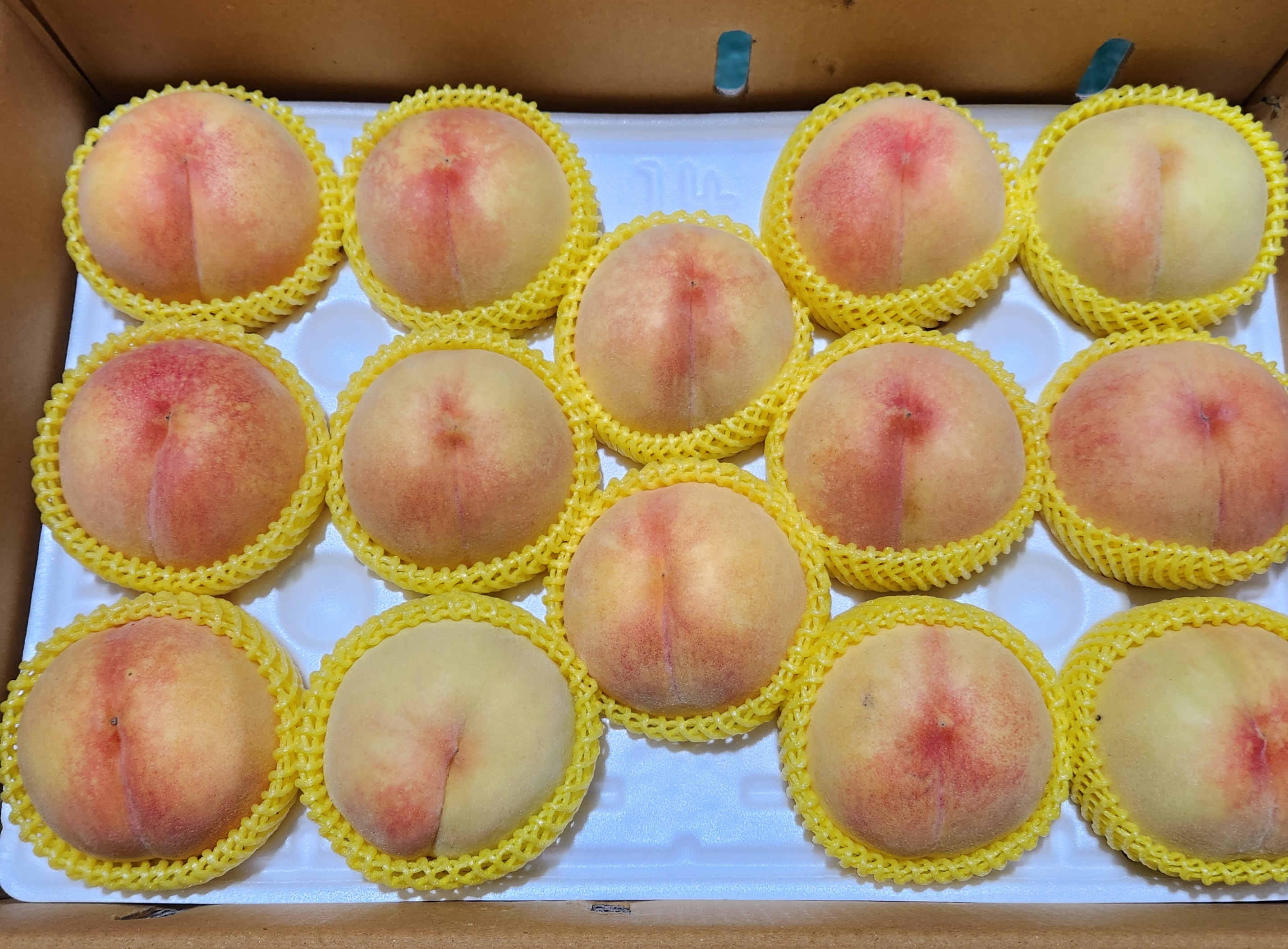 반디농원 이미지