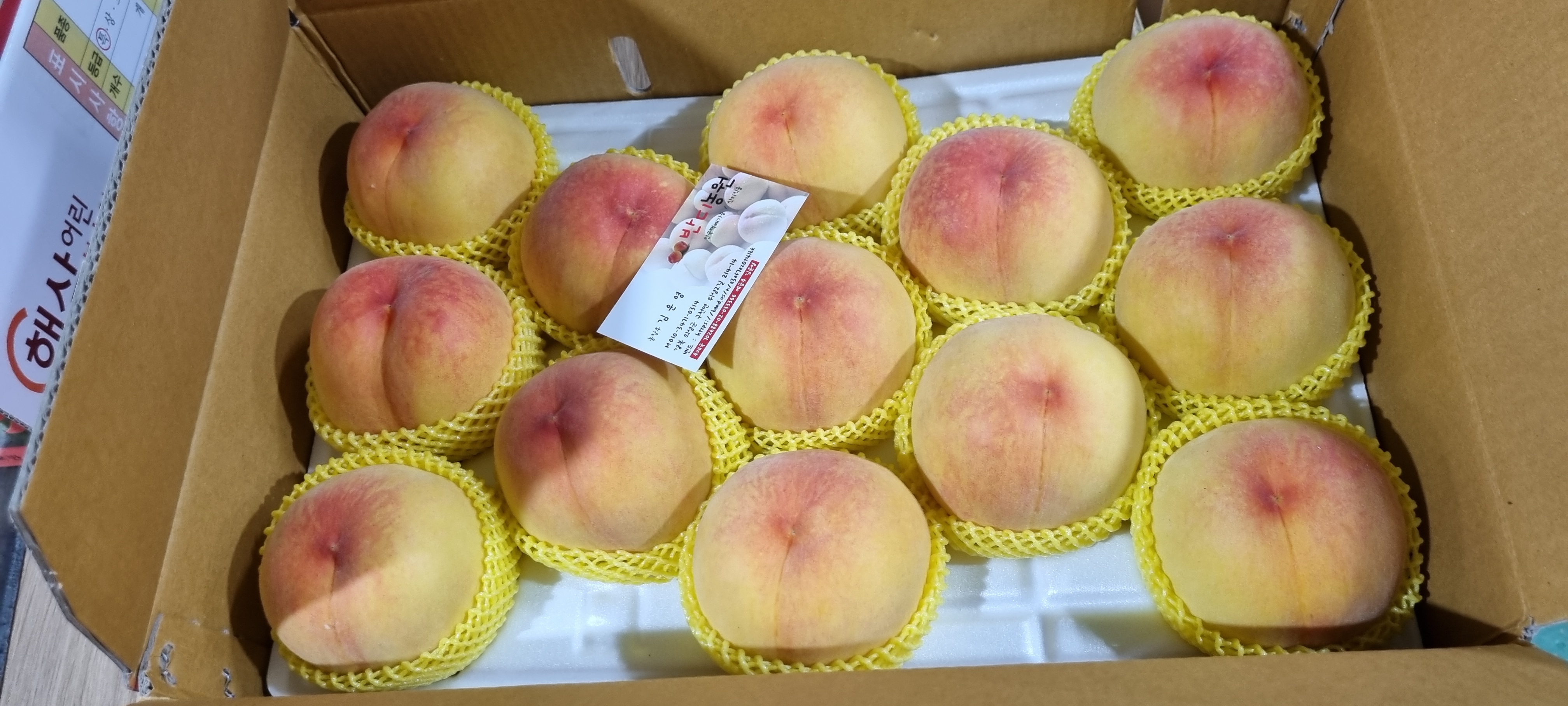반디농원 이미지