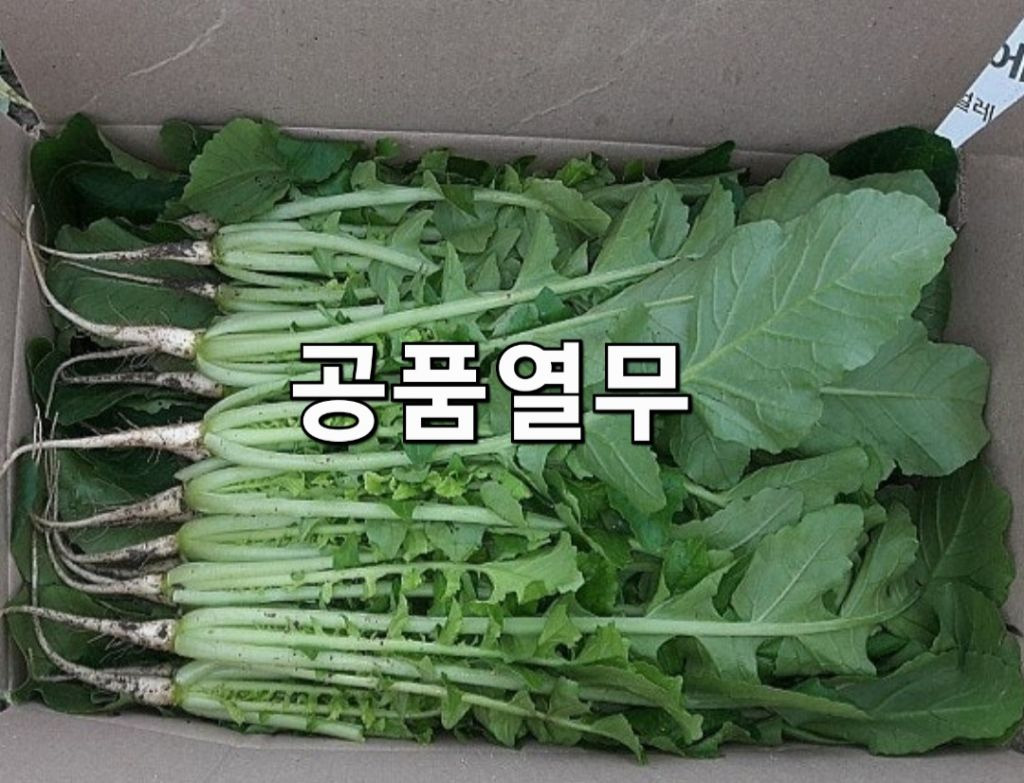열무 이미지