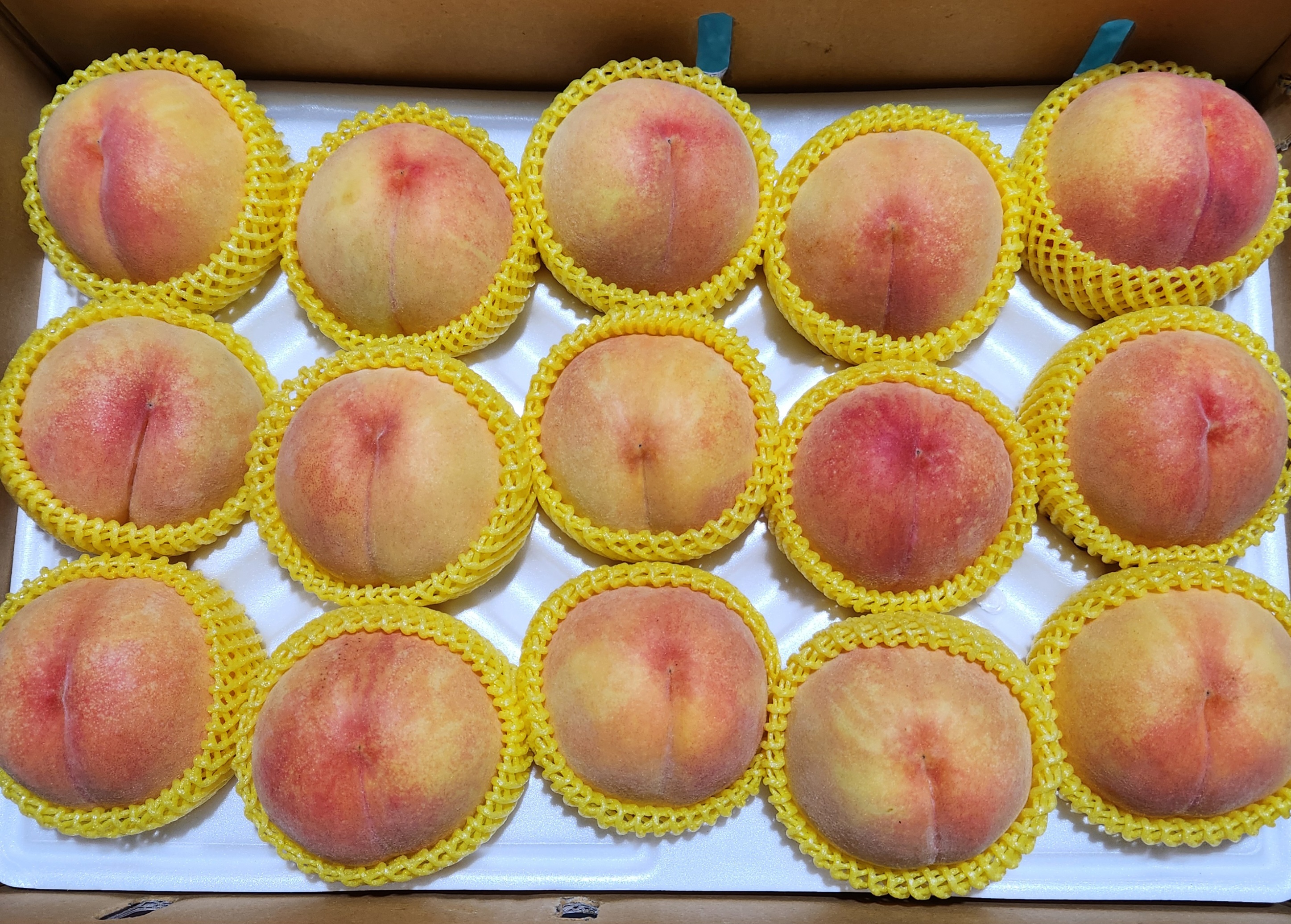 반디농원 이미지