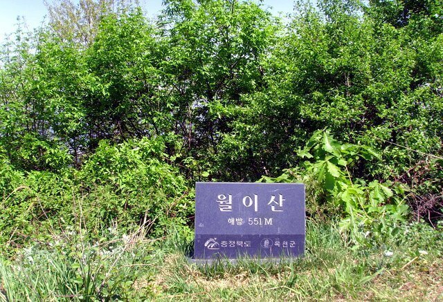 금강신세 이미지