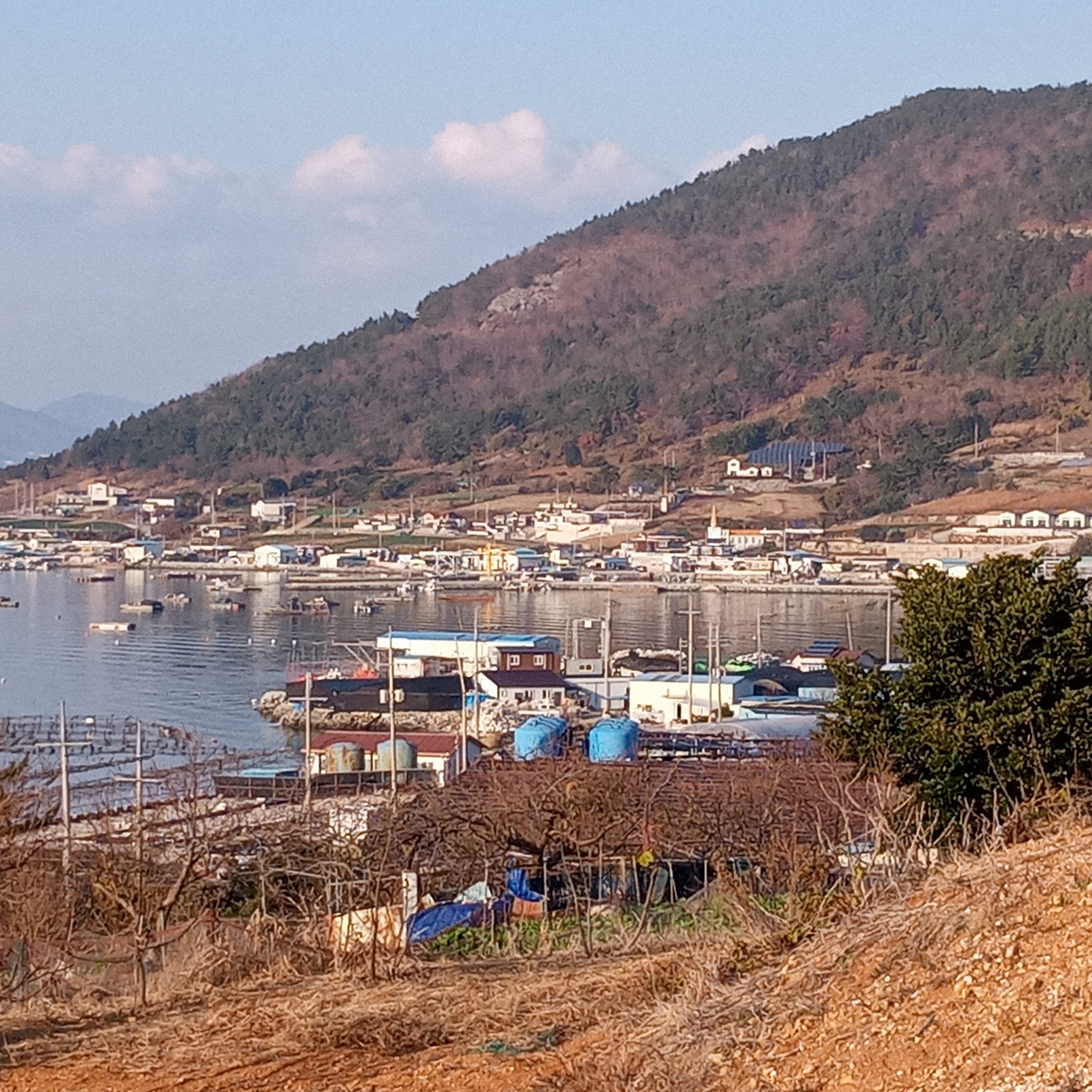 화산어촌체험마을 이미지