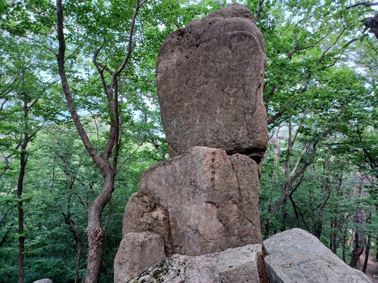 돌고래 바위? 이미지