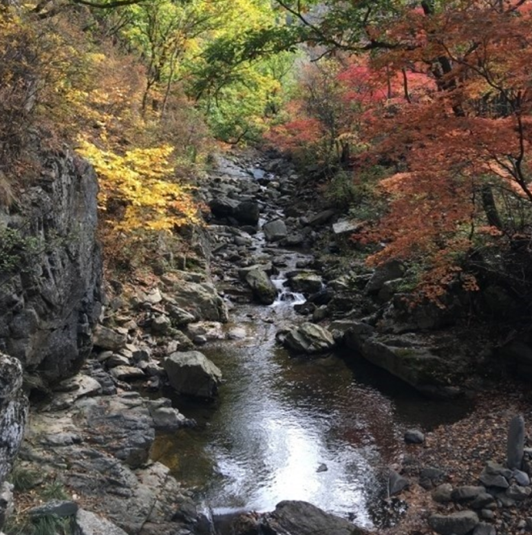노추산 정상 경관 이미지