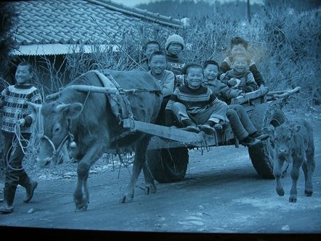 달구지 이미지