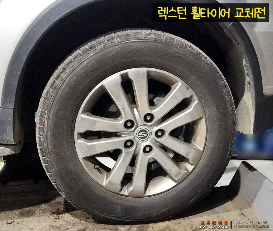 생동감 이미지
