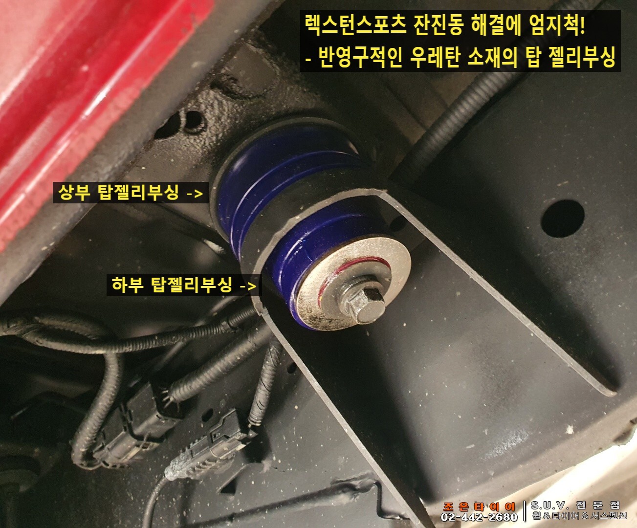 젤리스프링 이미지