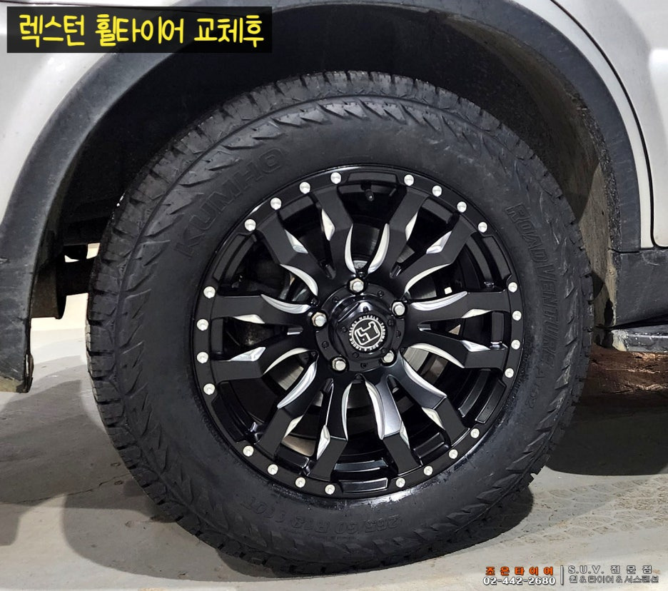 생동감 이미지