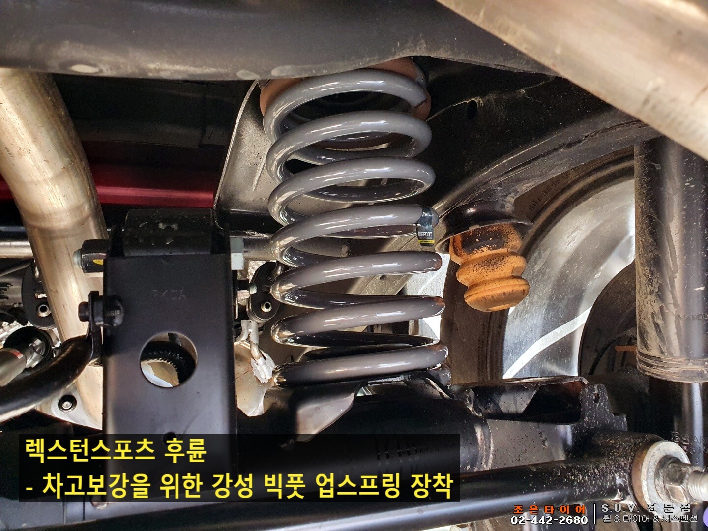 젤리스프링 이미지