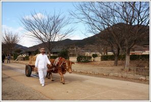 당신의 농부 이미지