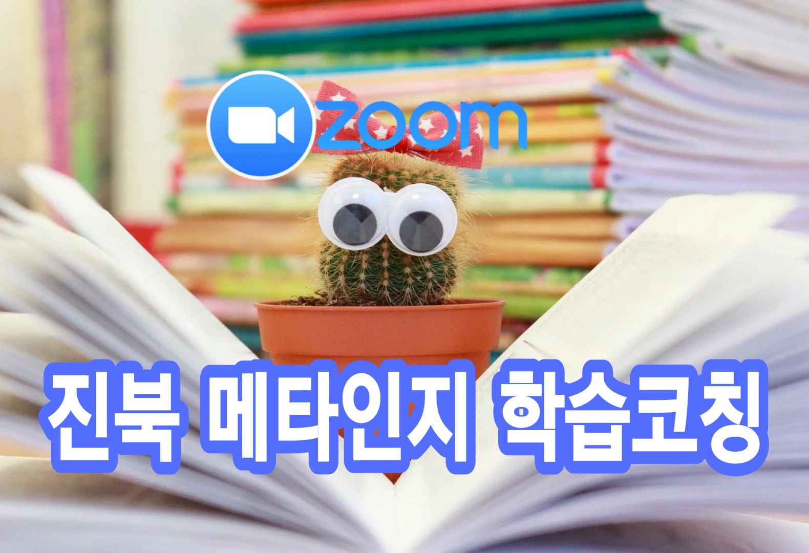 (주)줌 (ZOOM) 이미지